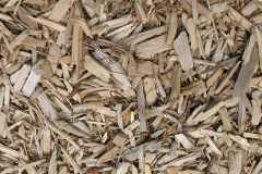 biomass boilers Moulsecomb